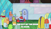 season 9 episode 10 GIF by SpongeBob SquarePants