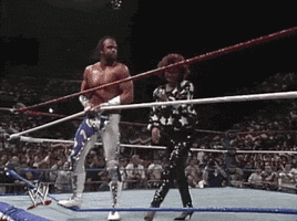 randy savage wrestling GIF by WWE