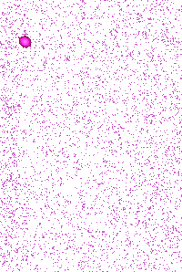 Magic Flowing Sticker