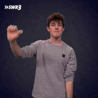 Idiot No GIF by SWR3