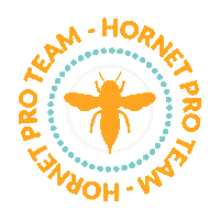 Hornetart hornet stencil proteam hornetart Sticker