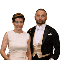 Ceskatelevize Televize Sticker