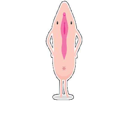 nosotraschile giphygifmaker vulva nosotras nosotraschile Sticker