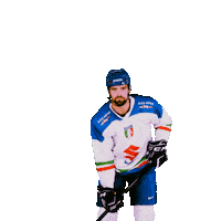 federazioneghiaccio hockey ice wintersport sportinvernali Sticker