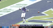 Regular Season Football GIF by NFL