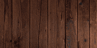 rawolf_in clothing raw streetwear divine GIF
