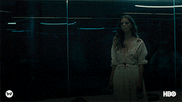 season 2 control GIF by Westworld HBO