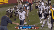 National Football League GIF by NFL