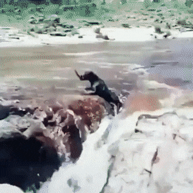 giffunme giphyupload GIF