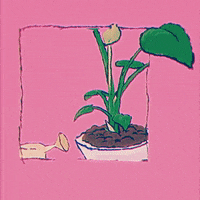 samsoomfull love cat illustration work GIF