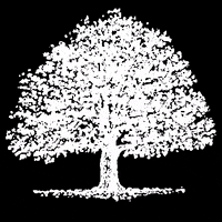 CVDV carl cvdv carl van de velde carlvandevelde GIF