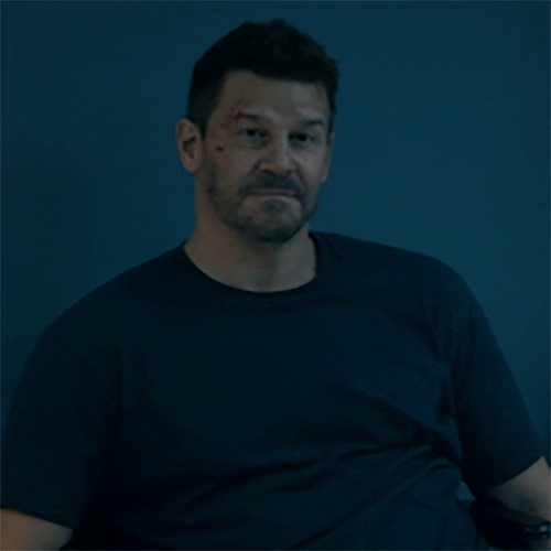 Sealteam Davidboreanaz GIF by Paramount+