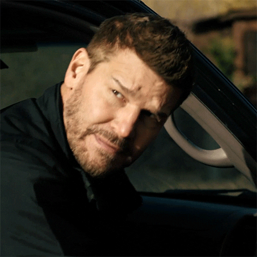 Sealteam Davidboreanaz GIF by Paramount+