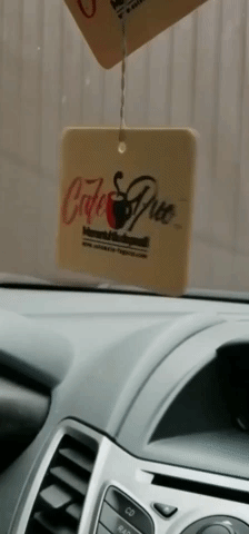 fresh coffee cafe duo GIF