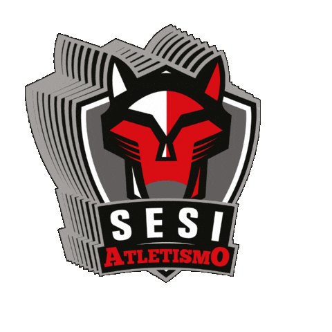 Sesispesporte Sticker by Sesi São Paulo
