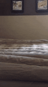 air playing GIF