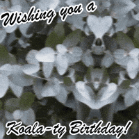 Happy Birthday GIF by TeaCosyFolk