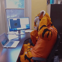 clemson university GIF