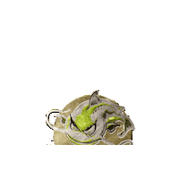 meervalshop silure catfishing meervalshop meervalwebshop Sticker