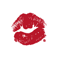 guendalinaclub love dance summer kiss Sticker