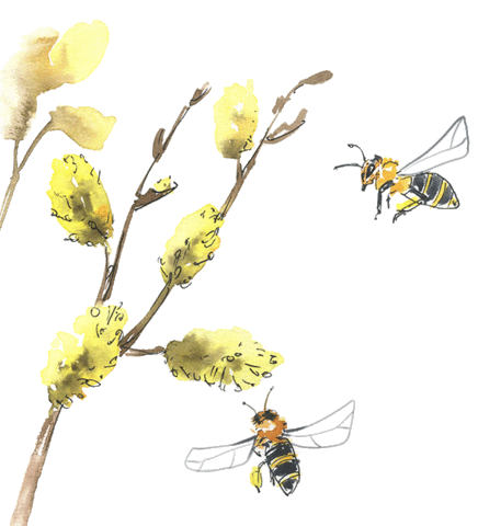 Bee Полёт Sticker