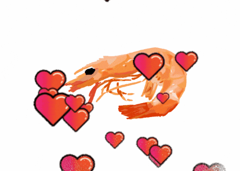 iHateRacism356 giphygifmaker giphyattribution giphycreatortest shrimp GIF