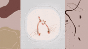 ladeees wishbone lades ladeees ladesoyunu GIF