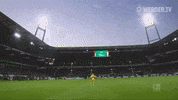 Football Soccer GIF by SV Werder Bremen