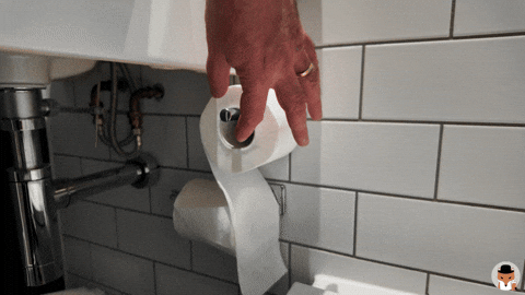 Toilet Paper Beard GIF by England Rover