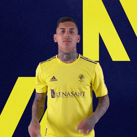 Nsc GIF by Nashville SC