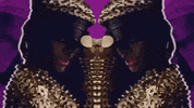 rated r rude boy mv GIF by Rihanna