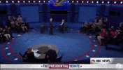 Election 2016 GIF