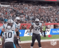 Carolina Panthers Football GIF by NFL