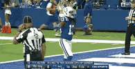 Carry Me 2018 Nfl GIF by NFL