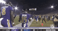 Regular Season Football GIF by NFL