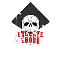 Educate Ebony Sticker by WallOfSoundAU