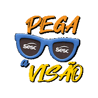 sescrj verao sesc pega a visão sesc verao Sticker