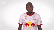 Red Bull Sport GIF by FC Red Bull Salzburg