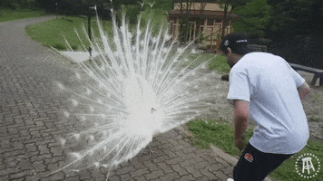 Yak GIF by Barstool Sports