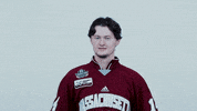 ncaasports hockey college ncaa ice GIF