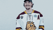 ncaasports hockey college ncaa ice GIF