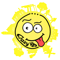 Happy Fun Sticker by Reuring op Erica