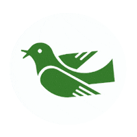 rebelgreennaturalcleaner clean natural rebel green rebelgreen Sticker