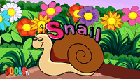 S is For Snail