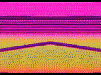 GIF by Leo Pyrata