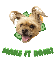 Dog Money Sticker