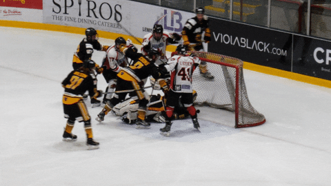 CardiffFire giphyupload goal fall ice hockey GIF