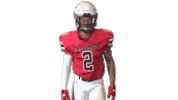 Pbu Passbreakup Sticker by Richmond Spiders