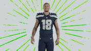 American Football GIF by Seattle Seahawks