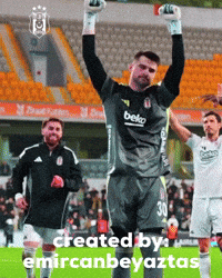 Team Salih GIF
